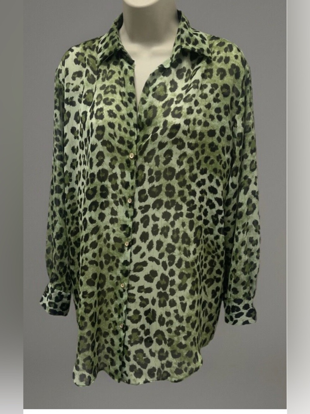 Zara Animal Print Semi-Sheer Blouse